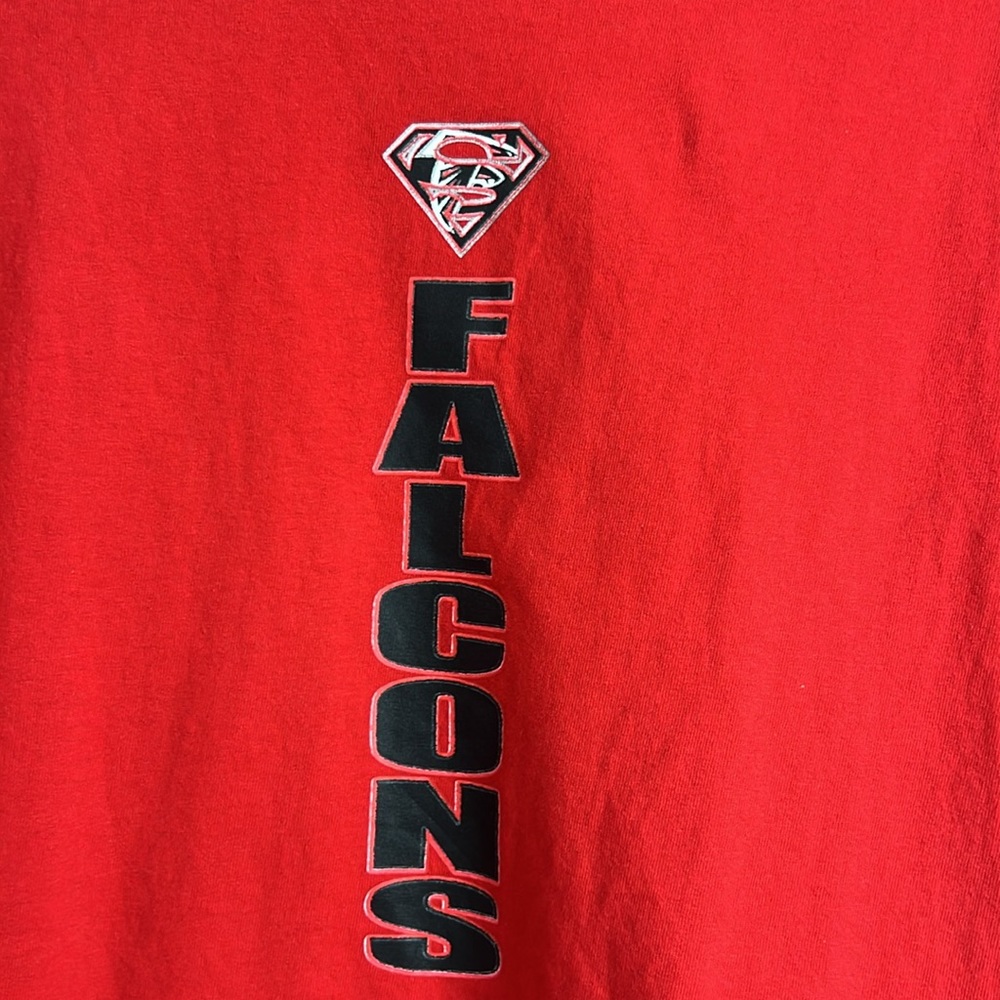 Falcons - Picture 5 of 9
